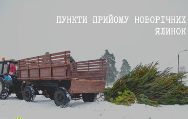 В Киеве открыли 15 пунктов приема новогодних елок